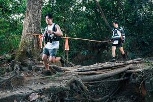 BIB: 
                            <button type="button" onclick="openModal(27311375)" class="btn btn-primary btn-sm float-right btn-popup" data-toggle="modal" data-target=".modal-high-quality">
                        <i class="fas fa-shopping-cart"></i> Add to Cart
                    </button>
                                            <button type="button" onclick="isThisMe(27311375, true)" class="btn btn-success btn-sm float-right btn-popup btn-isme hidden" data-toggle="tooltip" data-placement="bottom" title="นี่คือรูปของคุณใช่ไหม คลิกที่นี่เพื่อเอาเข้าอัลบั้ม">
                        <i class="fas fa-plus"></i> Add to album
                    </button>
                    <button type="button" onclick="isThisMe(27311375, false)" class="btn btn-warning btn-sm float-right btn-popup btn-isnotme hidden">
                        <i class="fas fa-ban"></i> Remove from album
                    </button>